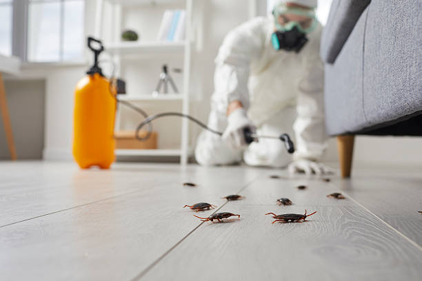 Commercial Rodent Management in Northwood